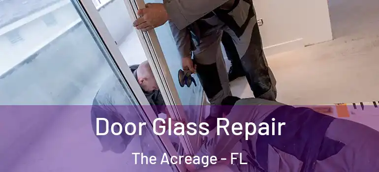  Door Glass Repair The Acreage - FL