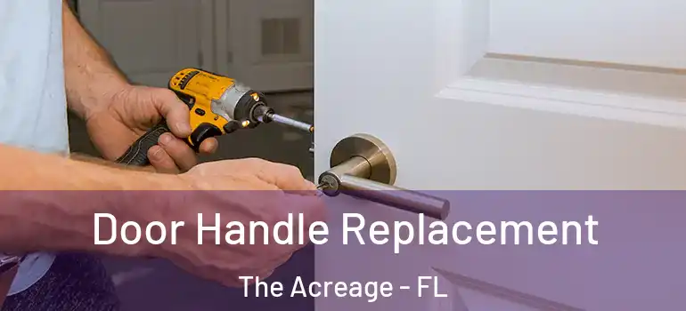  Door Handle Replacement The Acreage - FL