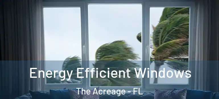  Energy Efficient Windows The Acreage - FL