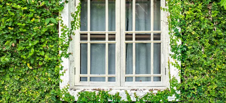 Garden Window Repair Near Me in The Acreage, FL