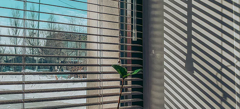 Commercial Window Blinds in The Acreage, FL