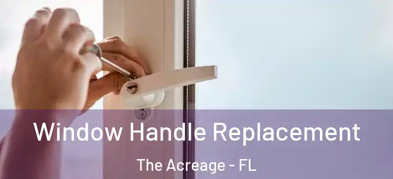  Window Handle Replacement The Acreage - FL