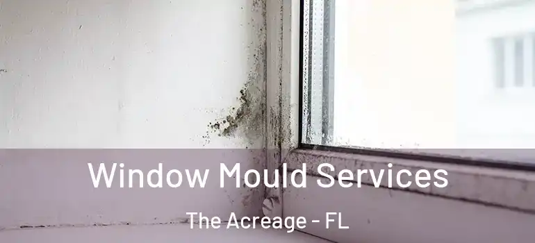  Window Mould Services The Acreage - FL
